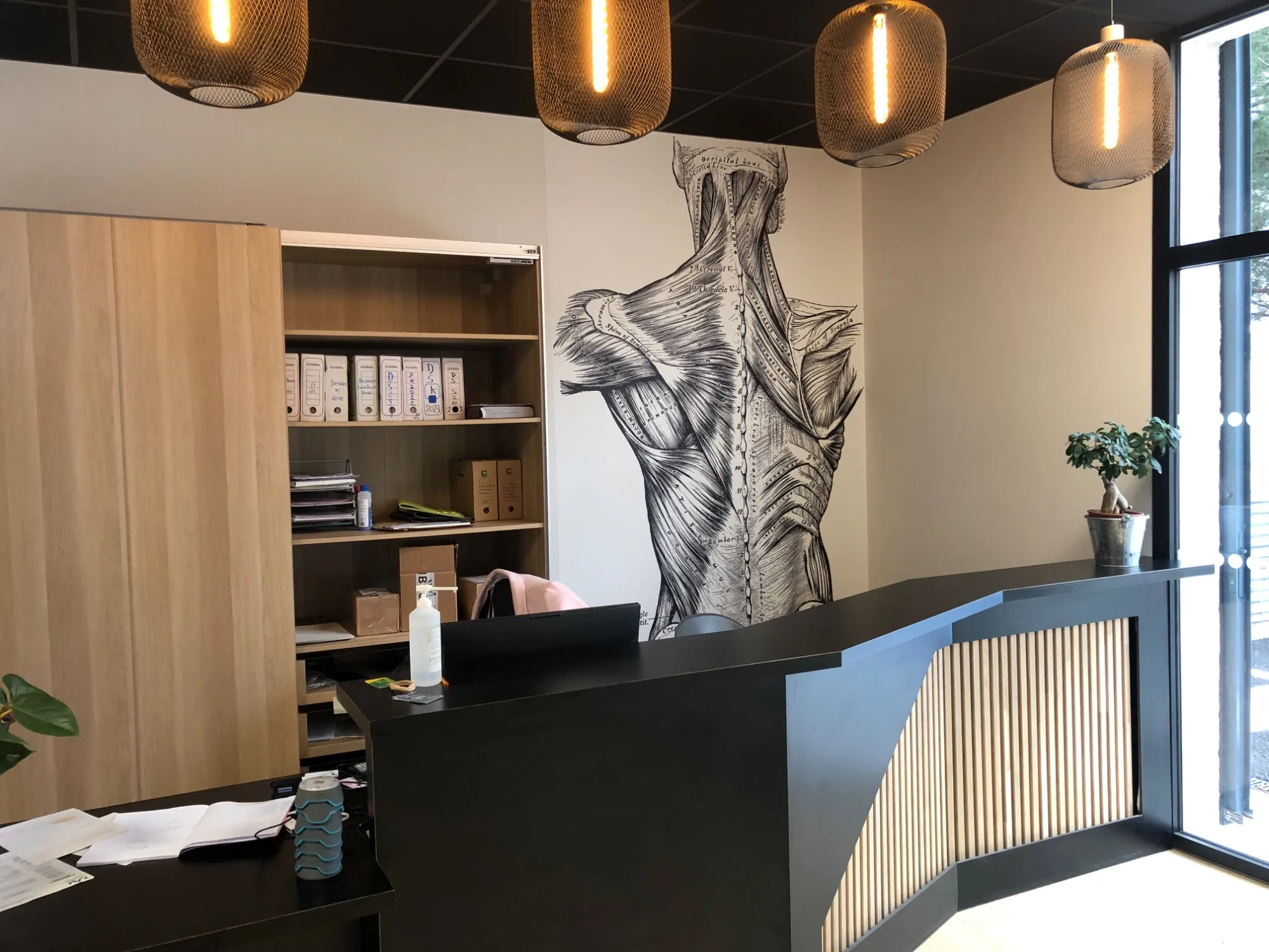 Cabinet de santé : banque d'accueil en bois et fresque anatomique